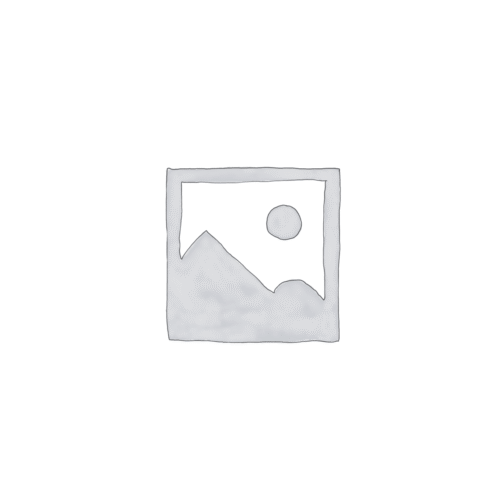 Canva Pro